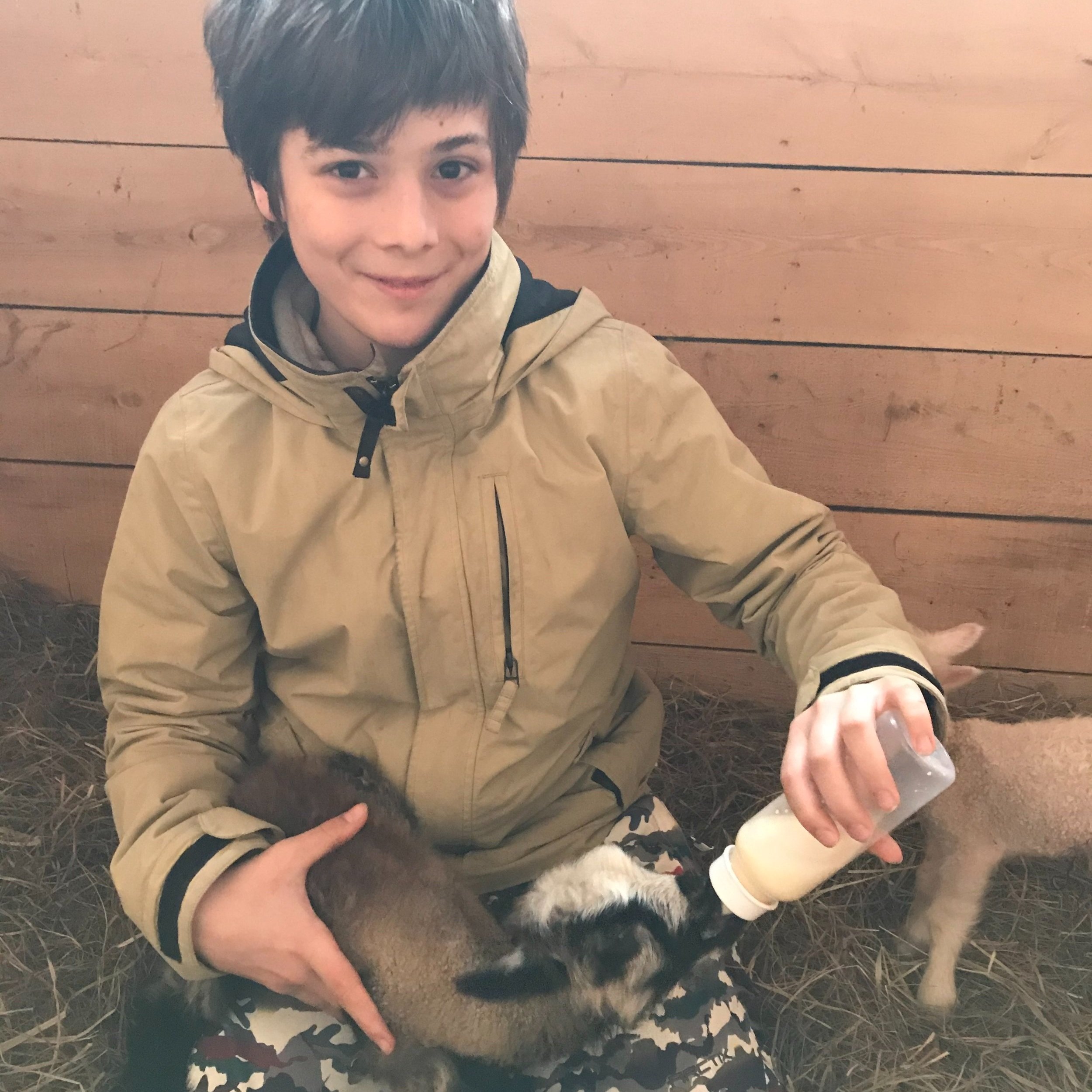 AJs+Happy+Chick+Farm+Vermont+-+Anthony+feeding+lamb+ A hand holding a bouquet of lavender flowers, with a focus on the textured, knitted sweater featuring cream and mustard colors against a minimalist white background.